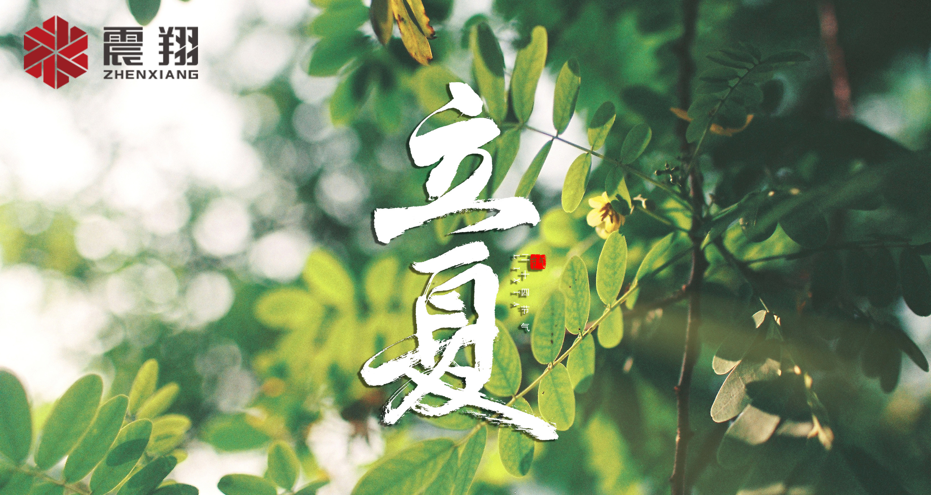 【立夏】春去春來不曾留意，夏日當(dāng)歸，撲面而來